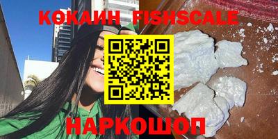 гидра Будённовск