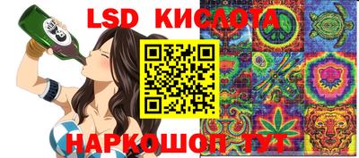 гидра Будённовск
