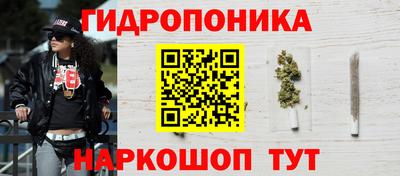 гидра Будённовск