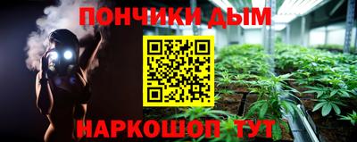 гидра Будённовск