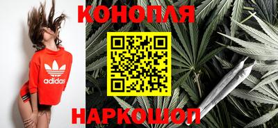 гидра Будённовск