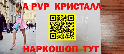 гидра Будённовск