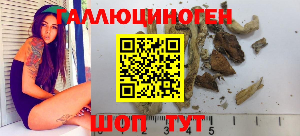 Псилоцибиновые грибы Cubensis  Вход с VPN  Югорск 